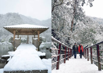 全台景點｜盤點台灣賞雪勝地，一起等待初雪降臨走進夢幻冰雪世界！