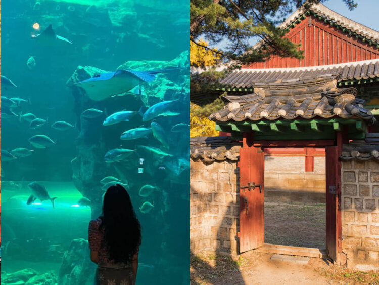 韓國景點|跟著韓劇男女主角踩點去 盤點六個熱門打卡區 韓國景點|跟著韓劇男女主角踩點去!盤點六個熱門打卡區