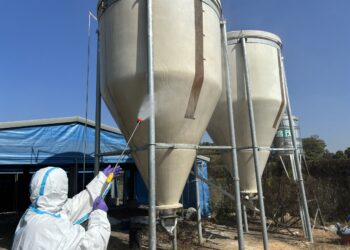 南市肉鵝場檢出禽流感-動保處撲殺處置圍堵病原擴散