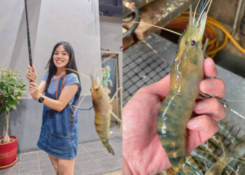 新北景點｜嚴選7間高評價釣蝦場，新手也能快速入坑！