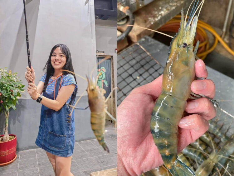 新北景點｜嚴選7間高評價釣蝦場，新手也能快速入坑！