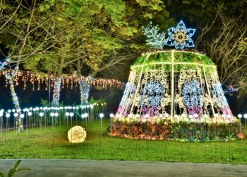 賞燈必看！12/14石岡花漾藝術燈節點燈