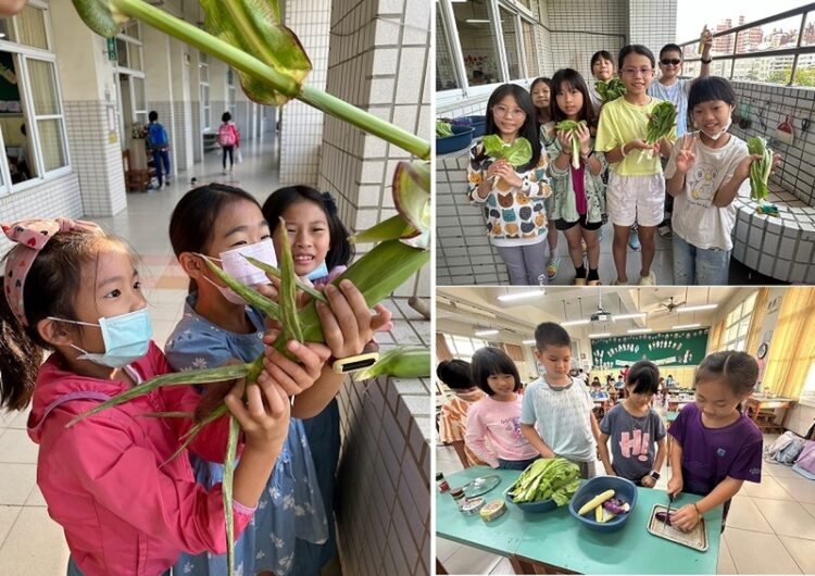 新上國小師生深耕食農教育-榮獲第一屆高雄市食農教育傑出貢獻獎