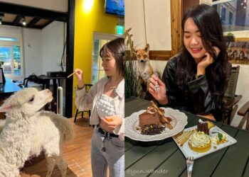 台北美食｜台北近郊秘境！陽明山美國村-6-家質感餐廳，享受復古風情與美味料理