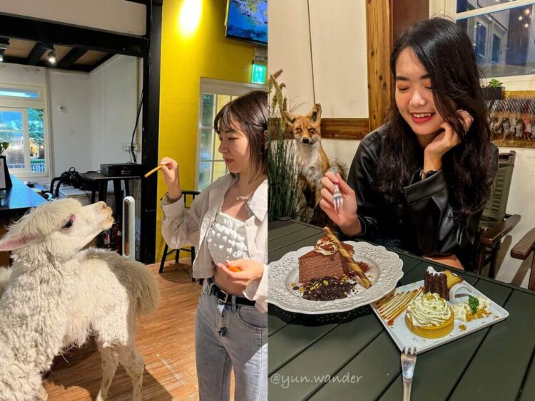 台北美食|台北近郊秘境!陽明山美國村 6 家質感餐廳,享受復古風情與美味料理 台北美食|台北近郊秘境!陽明山美國村-6-家質感餐廳,享受復古風情與美味料理