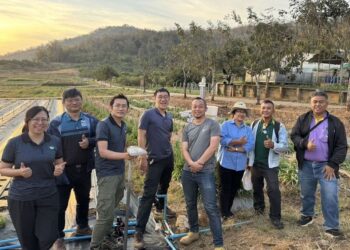 耕田也能這麼酷！-用科技翻轉農業-「智食良果」獲補助力挺