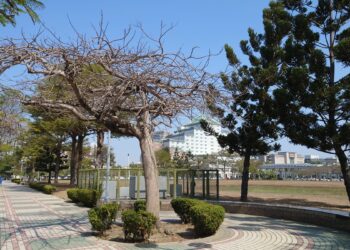 臺南安平永華市政中心周邊火熱！高雄品牌建商進駐打造新地標