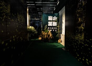 2024-「高山茶都．嘉義-茶．文旅」-精彩活動日日不同-讓你玩不完！