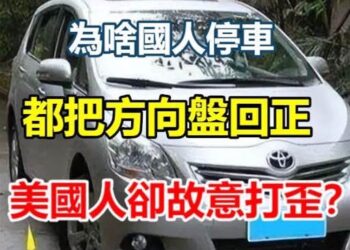 停車習慣大不同：為何臺灣人回正方向盤，美國人卻故意打斜？