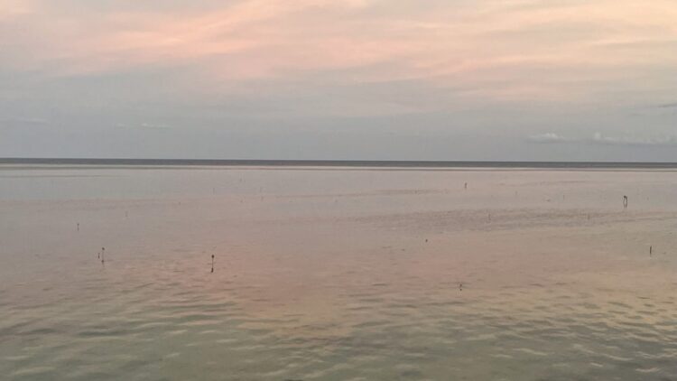 黨的意志  黨的意志