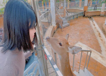 彰化親子農場｜帶著孩子出門放電，餵食小動物玩水玩沙，記錄孩子的成長