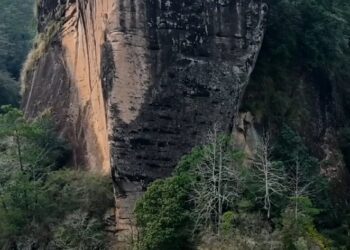 仙人踏風而來｜大坑口青龍岩肉桂