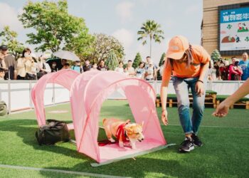 夢時代「汪汪笑嘻嘻寵物嘉年華」1/11-12歡樂登場