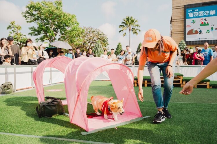 夢時代「汪汪笑嘻嘻寵物嘉年華」1/11-12歡樂登場 夢時代「汪汪笑嘻嘻寵物嘉年華」1/11-12歡樂登場