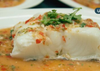 便當都是假鱈魚？解析「鱈魚、圓鱈、扁鱈」差別：吃錯小心拉肚子