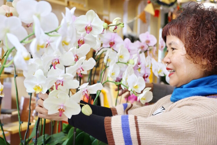 「嘉義大學學生安心就學獎助學金」募款助經濟不利學生成長圓夢 捐百元嘉大送您蝴蝶蘭 「嘉義大學學生安心就學獎助學金」募款助經濟不利學生成長圓夢-捐百元嘉大送您蝴蝶蘭