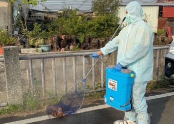 勿隨意丟棄死畜禽-如造成疫情散播100萬元罰鍰