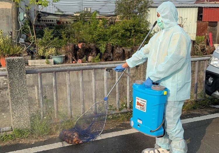 勿隨意丟棄死畜禽 如造成疫情散播100萬元罰鍰 勿隨意丟棄死畜禽-如造成疫情散播100萬元罰鍰