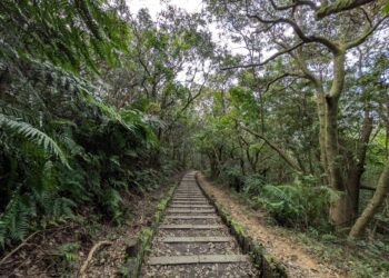 臺北市小溪頭環狀步道-走進森林景觀親近綠意