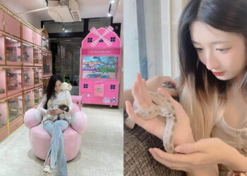 寵物咖啡廳｜全台7家超特別動物咖啡廳推薦，和可愛龍貓一起吃飯，與蛇共舞超新奇，特殊萌寵的魅力簡直無法擋
