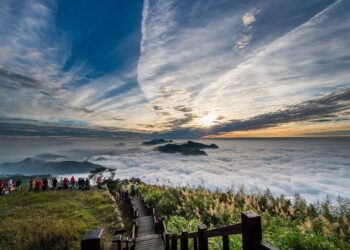 嘉義春節限定！作伙來嘉蛇來蛇趣，天天line抽好禮