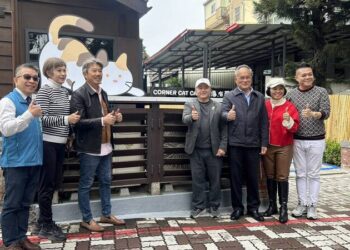 台南新地標-歷史建築貓主題餐廳開幕