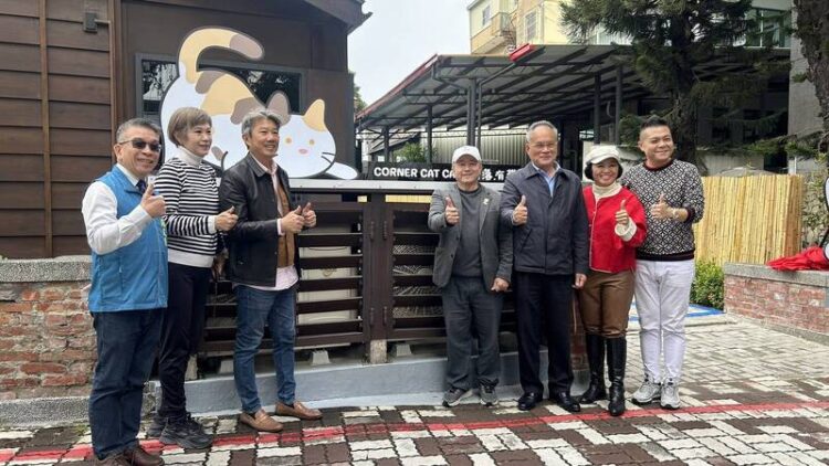 台南新地標-歷史建築貓主題餐廳開幕