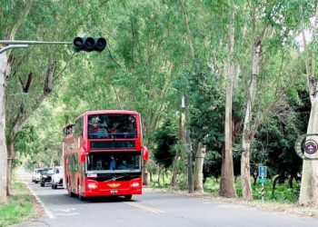 「蛇來運轉185」雙層巴士啟航-探索沿山公路的風景祕境