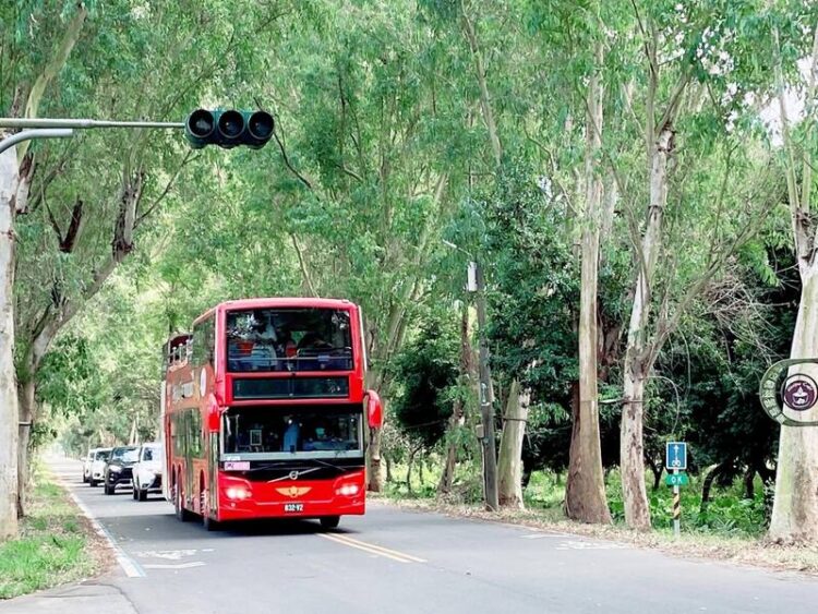 「蛇來運轉185」雙層巴士啟航 探索沿山公路的風景祕境 「蛇來運轉185」雙層巴士啟航-探索沿山公路的風景祕境