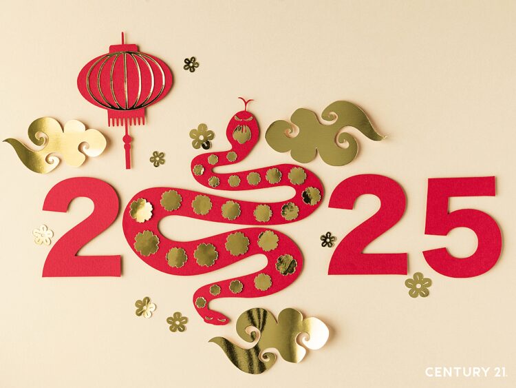 打造「蛇」麼都好運的家!「5大新春佈置技巧」報你知 打造「蛇」麼都好運的家!「5大新春佈置技巧」報你知