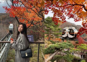 韓國景點｜和談林一日遊！韓國最佳賞紅楓地點，搭單軌列車穿梭山野