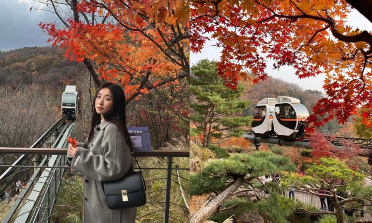 韓國景點|和談林一日遊!韓國最佳賞紅楓地點 搭單軌列車穿梭山野 韓國景點|和談林一日遊!韓國最佳賞紅楓地點,搭單軌列車穿梭山野