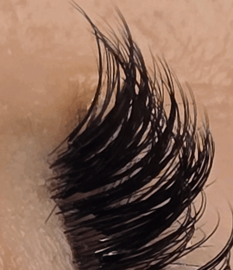 專業美睫師的重要性 專業美睫師的重要性