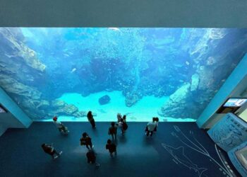 過年去哪玩？三大熱門景點提案讓你過個難忘新春