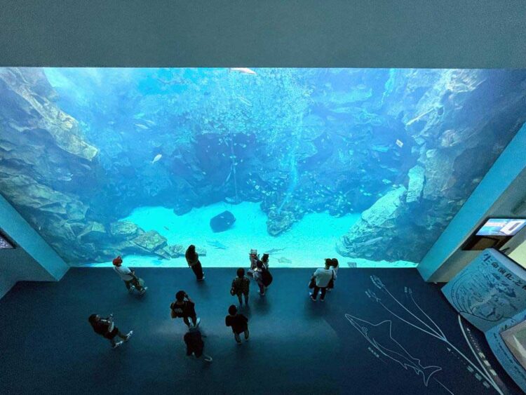 過年去哪玩?三大熱門景點提案讓你過個難忘新春 過年去哪玩?三大熱門景點提案讓你過個難忘新春