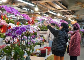 春暖花開迎蛇年！板橋花市「延長營業時間」-除夕也買得到