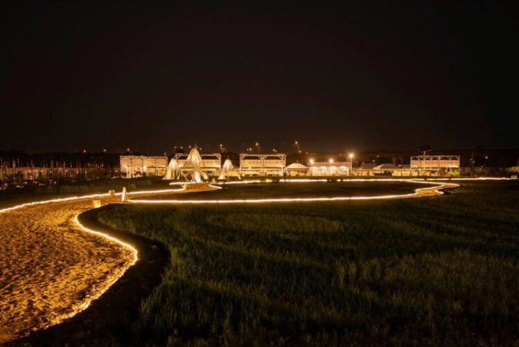 屏東熱帶農業博覽會熱鬧開幕 屏東地景彩稻田開放遊客走入 屏東熱帶農業博覽會熱鬧開幕-屏東地景彩稻田開放遊客走入