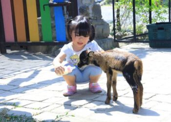 新春遊樹谷「蛇」麼都好玩