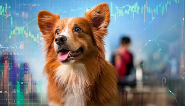 台灣兆元產業「毛」經濟 新莊寵物店分析寵物特許行業規定與市場走向 台灣兆元產業「毛」經濟 新莊寵物店分析寵物特許行業規定與市場走向