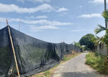 寒流又南下，高市農業局請農民加強防範低溫農損