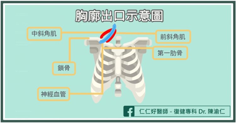 為什麼會手麻無力?復健醫揪「胸廓出口症候群」3分鐘抬手就能測試 為什麼會手麻無力?復健醫揪「胸廓出口症候群」3分鐘抬手就能測試