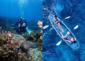 屏東景點｜透明獨木舟、與海龜共遊！小琉球水上活動推薦top-6