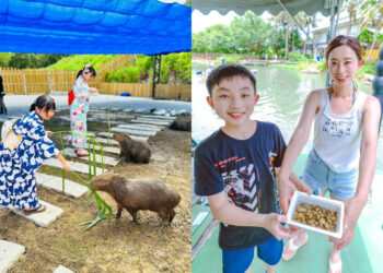 花蓮親子景點｜親子出遊必訪景點top8！遠雄海洋公園與你共眠，日式月崖灣親子農場超好拍