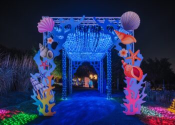 sdgs實踐-中台灣燈會這樣賞-「永續海洋奇幻冒險」燈區-等你來探索