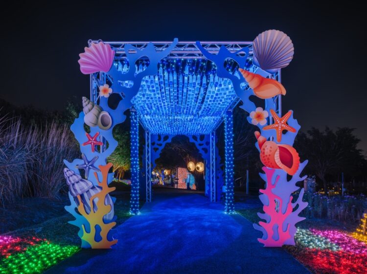 sdgs實踐-中台灣燈會這樣賞-「永續海洋奇幻冒險」燈區-等你來探索