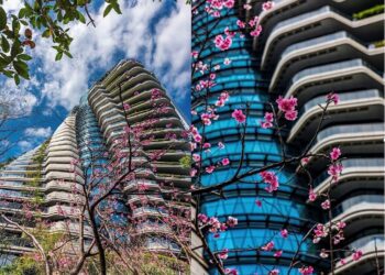 「陶朱隱園」佇立7年正式開賣！-業者曝「最低入手價」