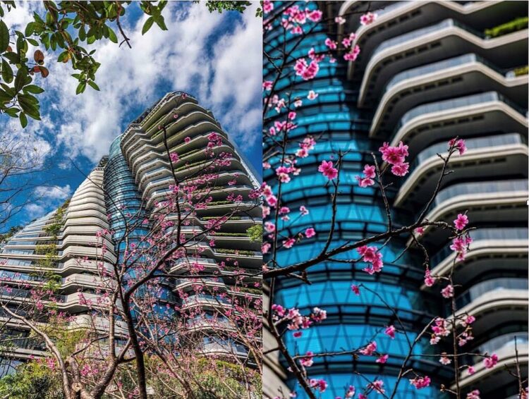 「陶朱隱園」佇立7年正式開賣！-業者曝「最低入手價」