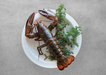 慶祝中華棒球隊晉級-高雄福華飯店龍蝦、飲品一送一同歡慶