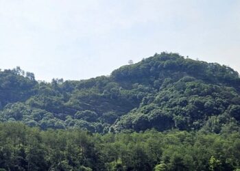 龜岩上的鐵骨男兒｜金羅漢