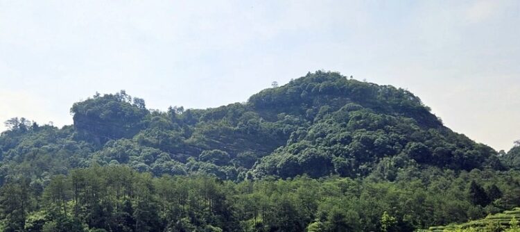 龜岩上的鐵骨男兒|金羅漢 龜岩上的鐵骨男兒|金羅漢